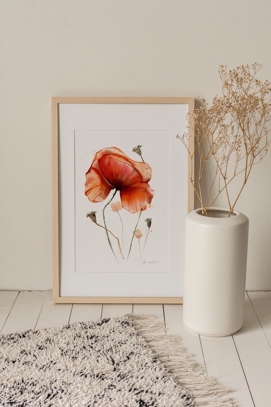 Watercolor abstract poppy