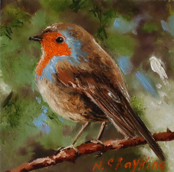 Robin Bird Painting