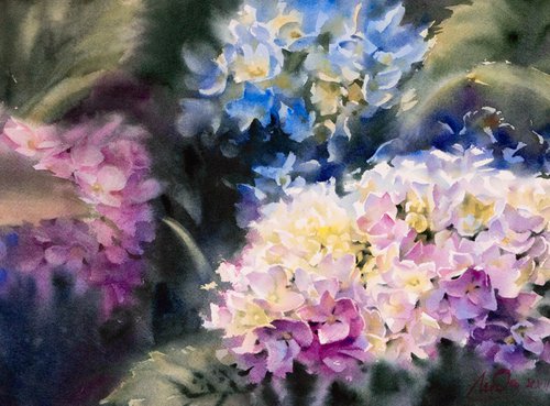 Hydrangea palette by Lida Duchnewitsch