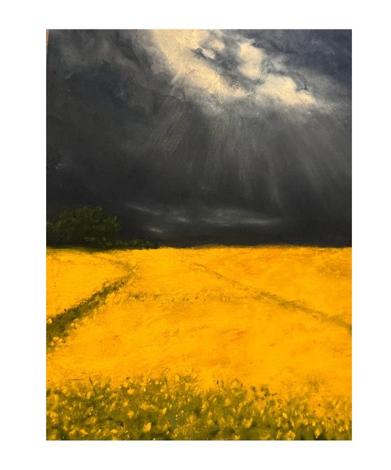 Feld unter Wolken