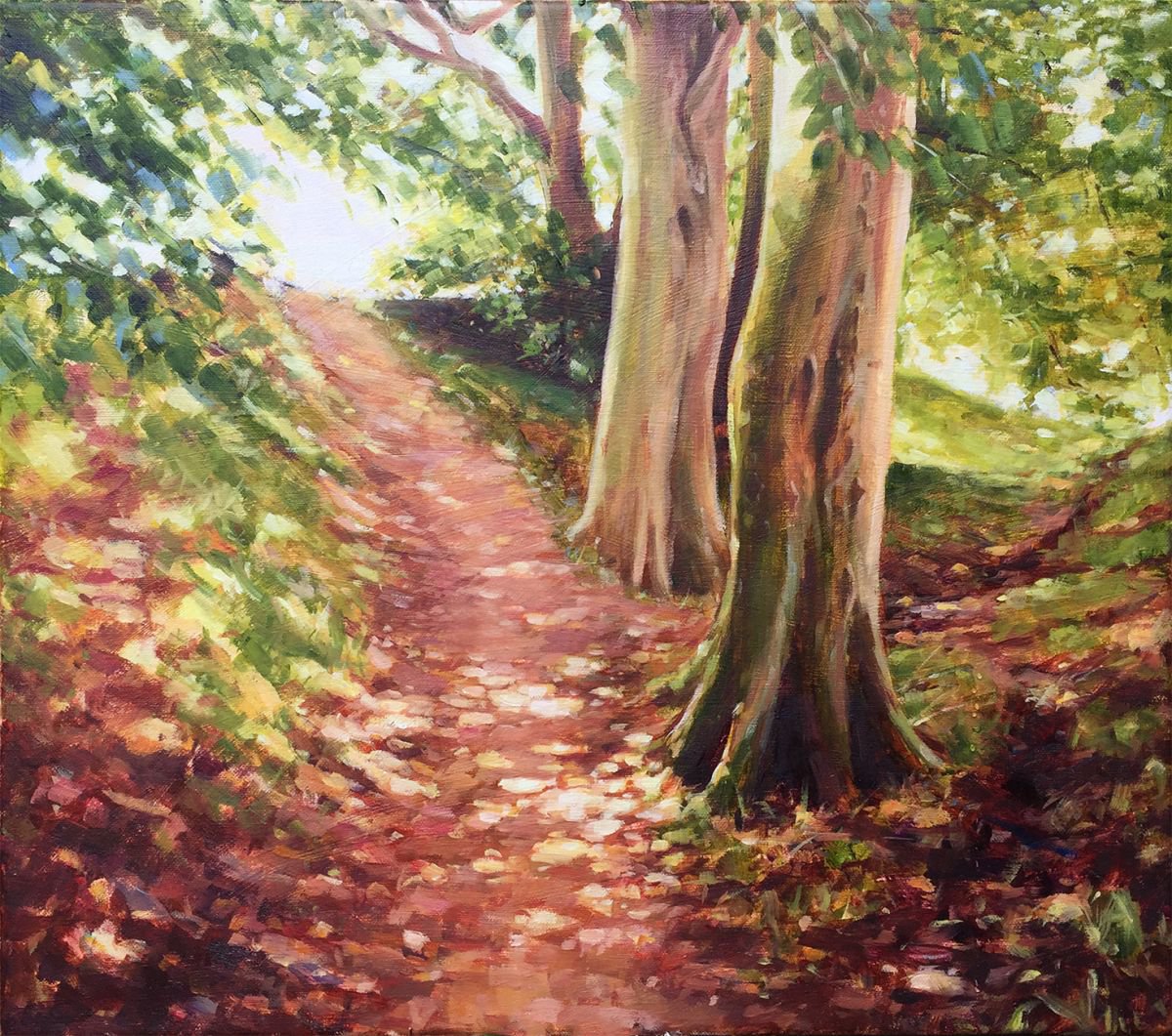 Summer Light In The Woods by Jana Forsyth
