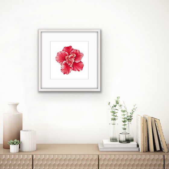 Red azalea. Original watercolor artwork.