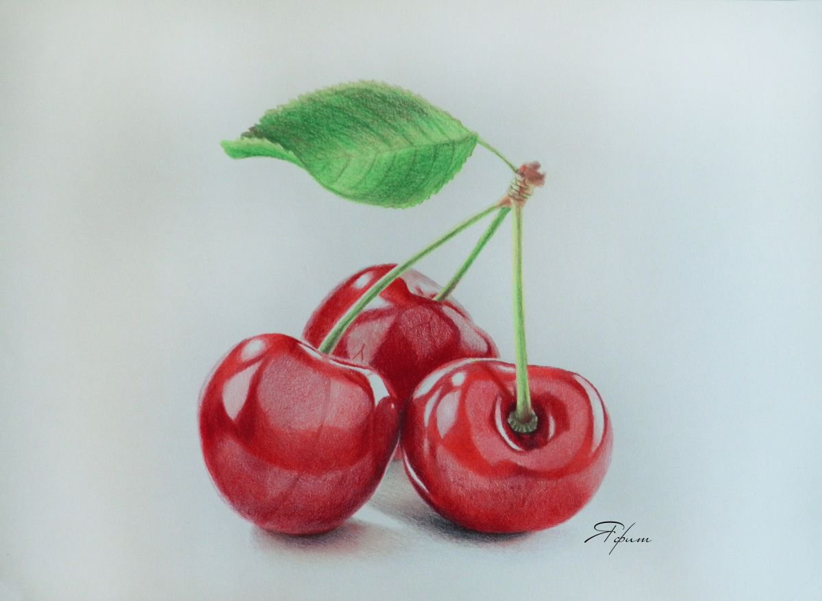 Cherry trio Pencil drawing by Yafit Moshensky | Artfinder