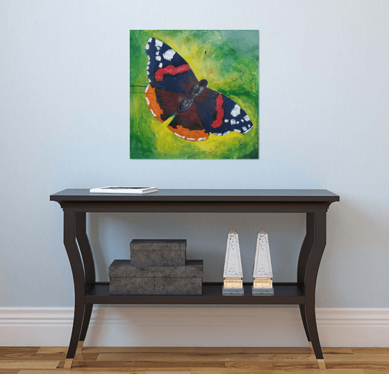 Red Admiral Butterfly