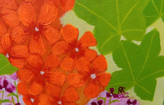 Summer Flowers