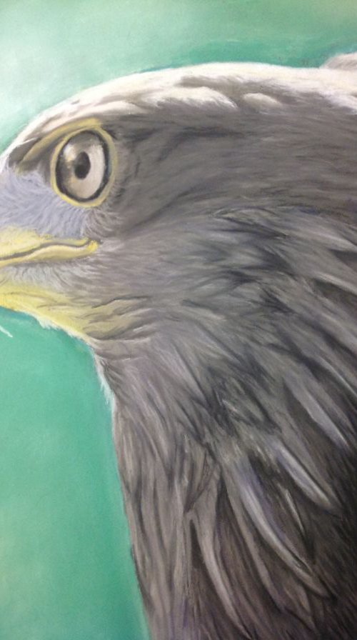 Eagle by Tina Hickman