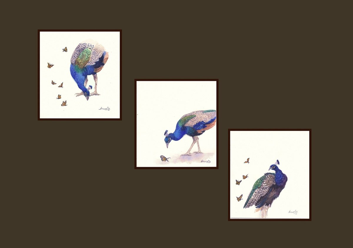 Photorealistic Animal Watercolour By Shweta Mahajan, 4 X 4", Peacock And Butterfly, Original Artwork