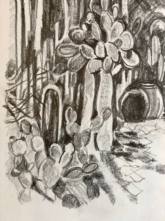 Cactus Garden Sketch 2