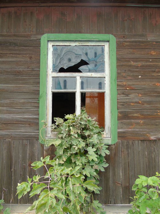 An old window in an abandoned house