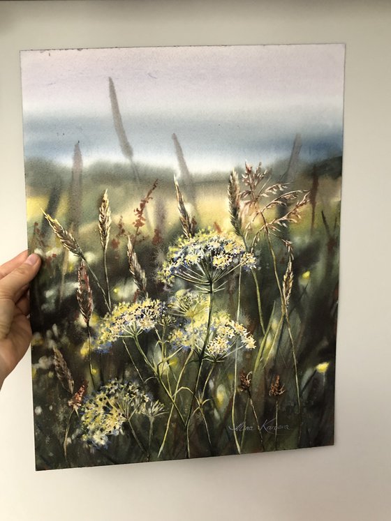 Wildflower meadow