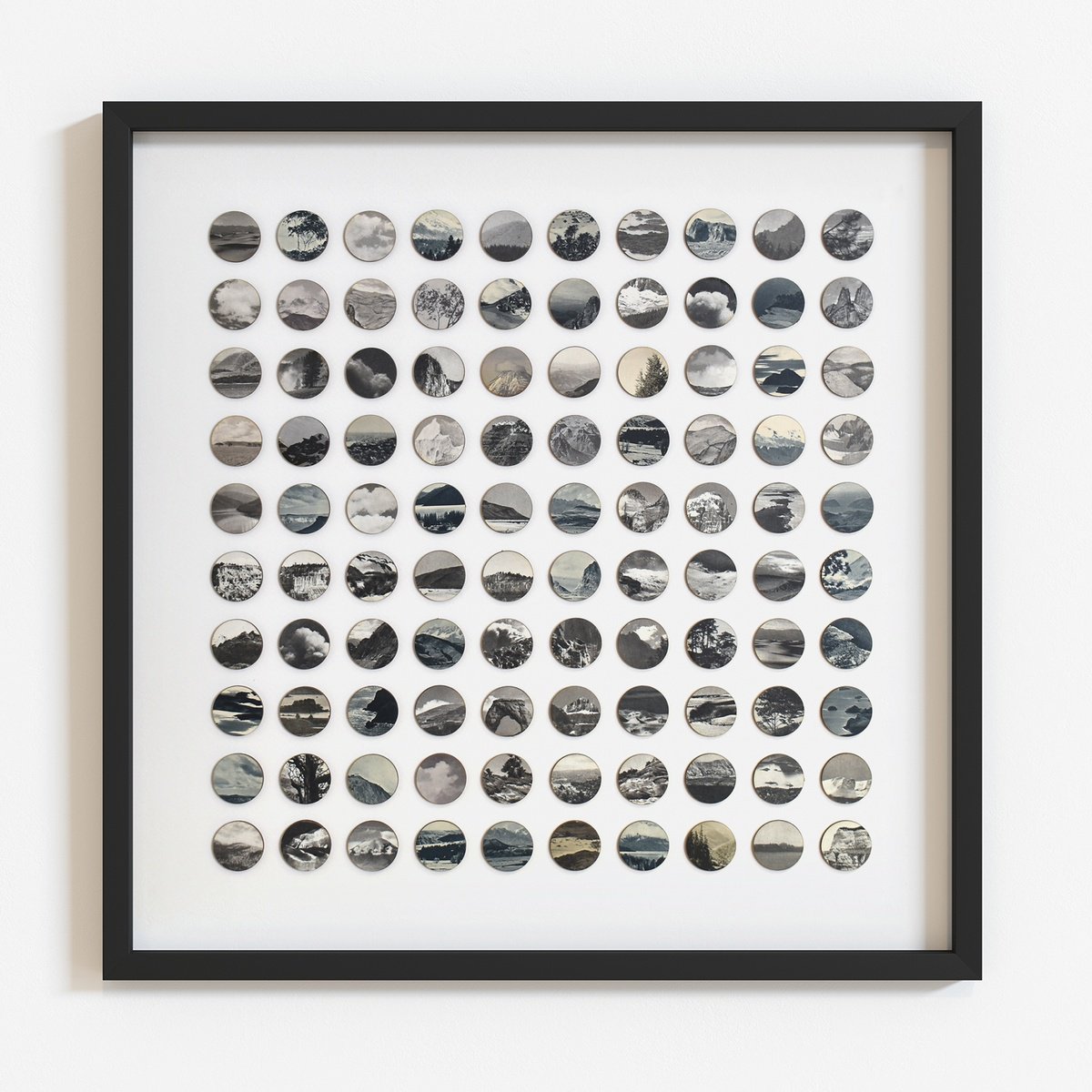 Wildlands By Amelia Coward, 22 X 22, Artwork For Sale On Artfinder