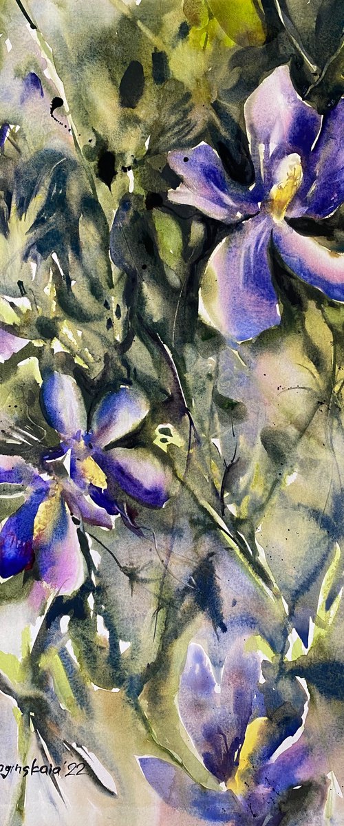 Violet flowers - floral watercolor by Anna Boginskaia