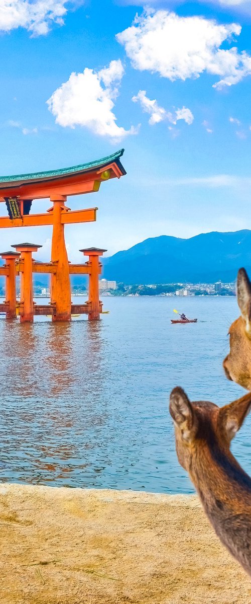 MIYAIJIMA VIEW by Fabio Accorrà