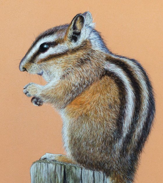 Original pastel drawing "Chipmunk"