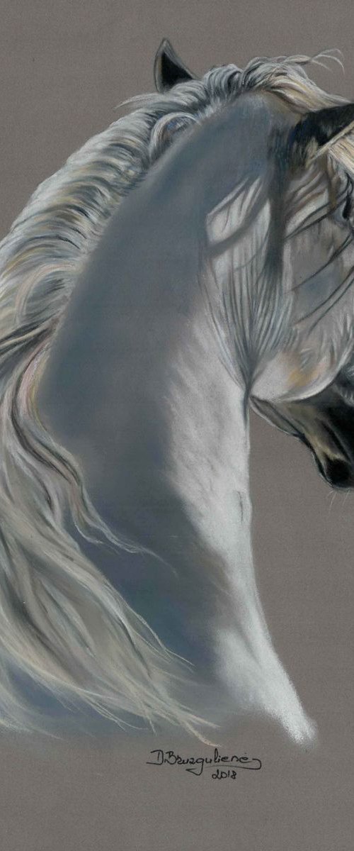 Pastel painting on Paper ,,WHITE HORSE'' by Deimante Bruzguliene