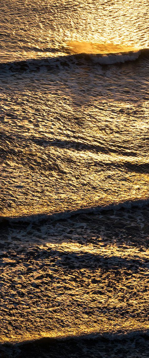 GOLDEN WAVES by Andrew Lever