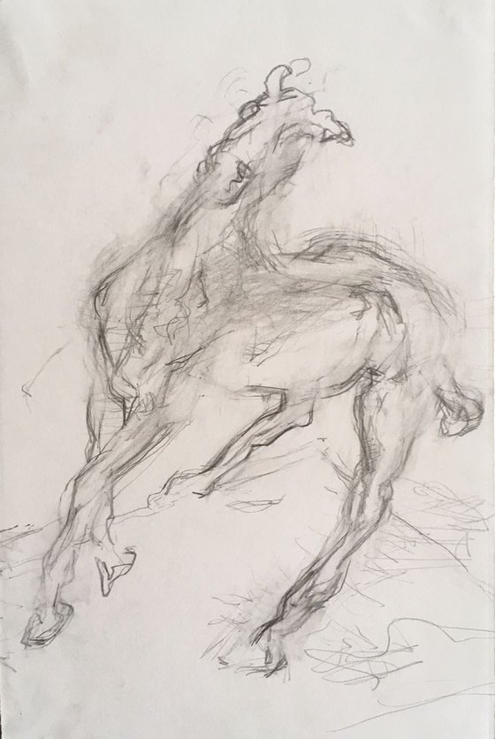 Degas Horse Study