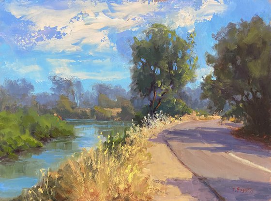 American River Parkway Trails
