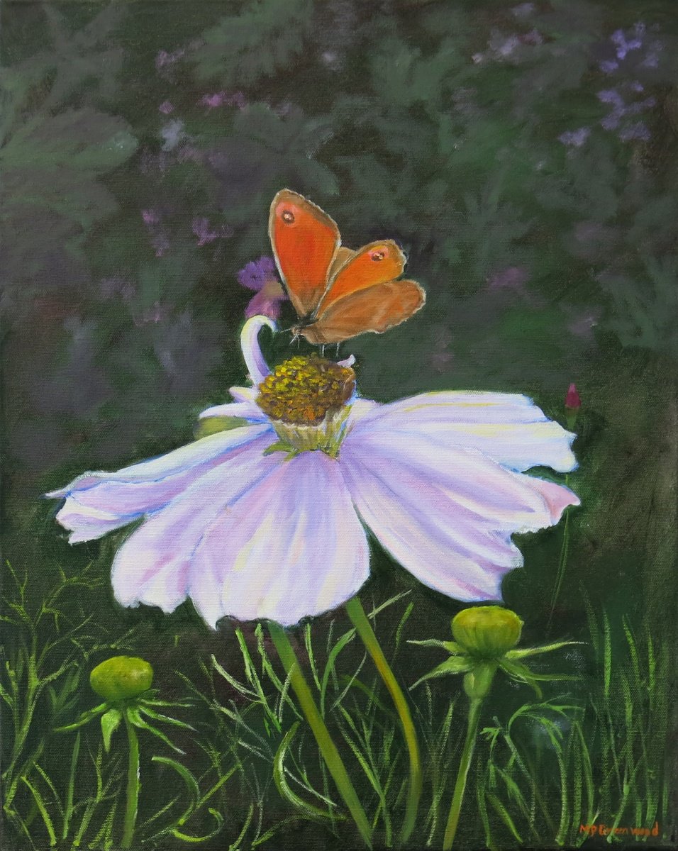 Impressionistic Botanical Oil Painting By Maureen Greenwood, 16 X 20", Cosmos And Butterfly, Original Artwork