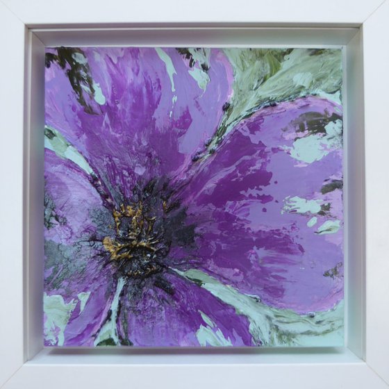 Purple Poppy