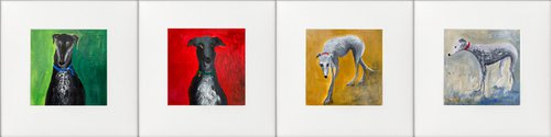 4 greyhound studies by Teresa Tanner