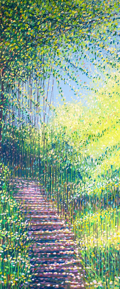 Forest Path In Sunlight by Marc Todd