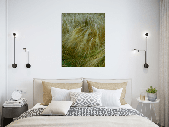 Barley Field, impressionist abstract countryside scene
