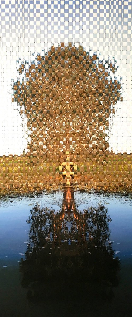 Woven family tree by Jennifer Bell