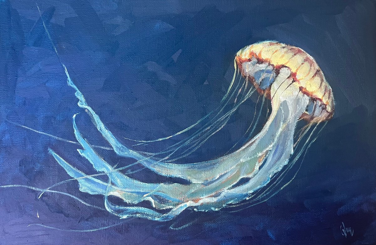 Jellyfish 2 by Cedric Visser