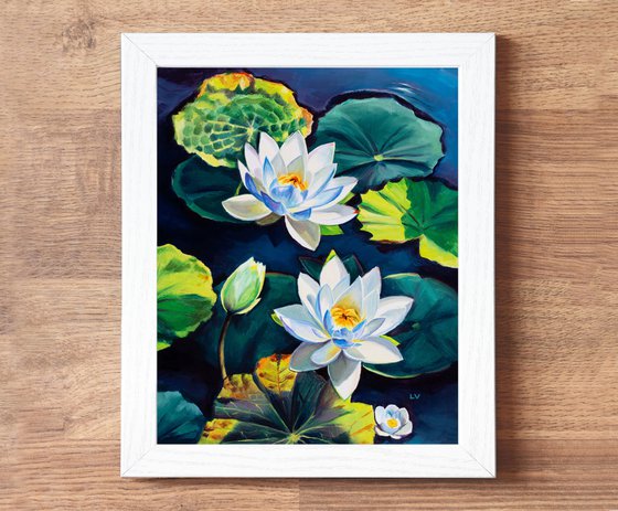 White water lily flowers on a pond