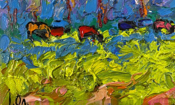 Spring on the meadows