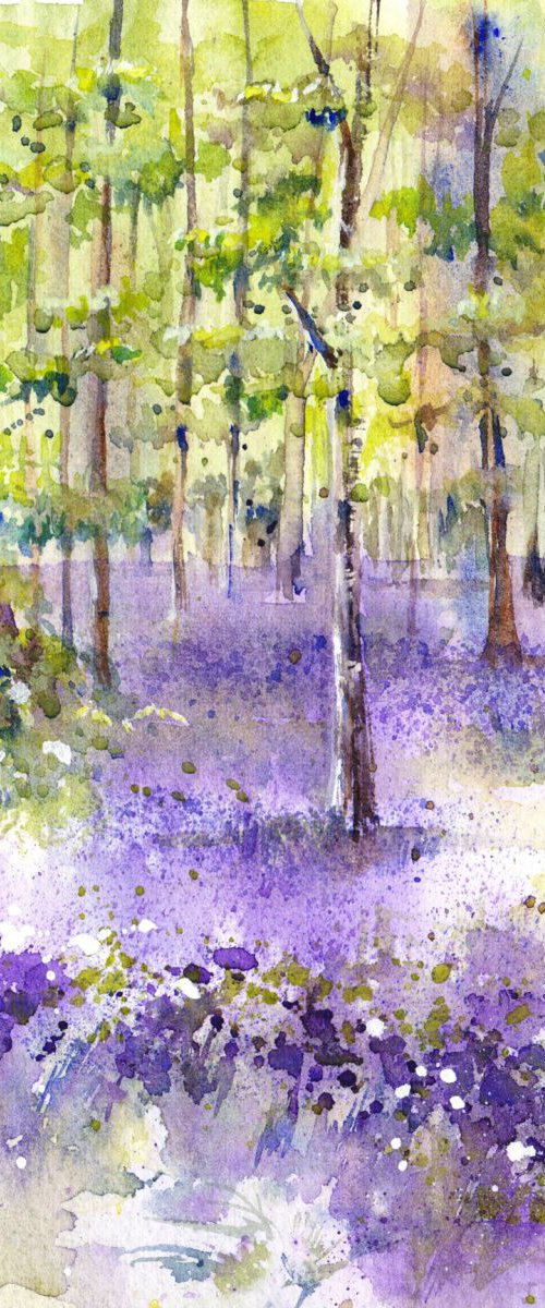 Bluebell wood by Anjana Cawdell