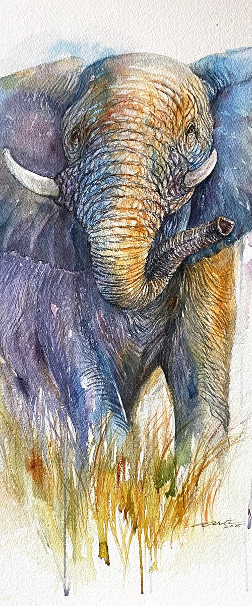 King of Earth-Elephant by Arti Chauhan