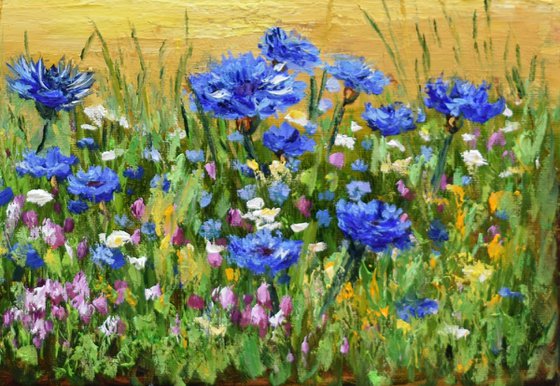 Cornflowers