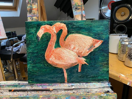 Flamingo