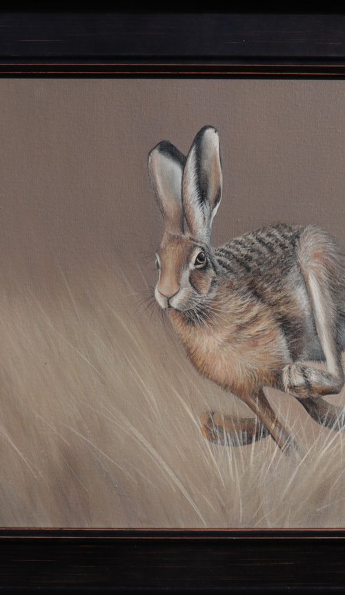 Hare in the Meadow's Embrace by Alex Jabore