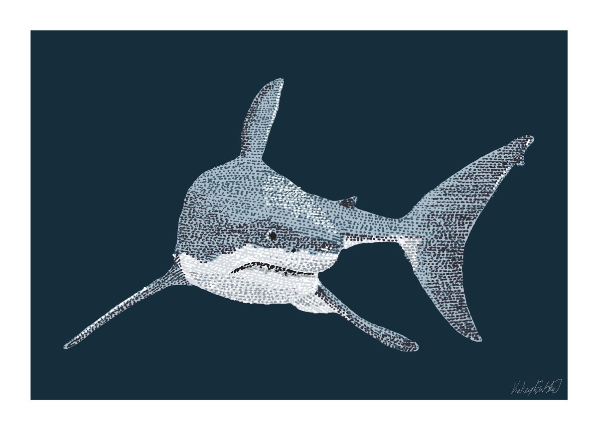 Great White Shark - Stippling Illustration by Kelsey Emblow