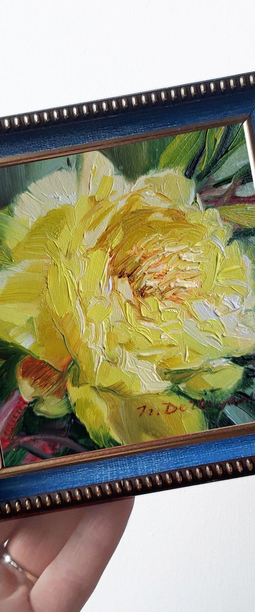 Small oil painting original framed art Yellow peony flower 4x4 in frame by Nataly Derevyanko