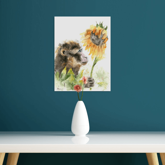 Monkey and Sunflower