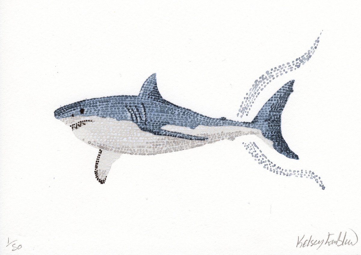 Original Great White Shark 4.1 x 5.8 inch by Kelsey Emblow