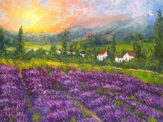 Lavender field 2