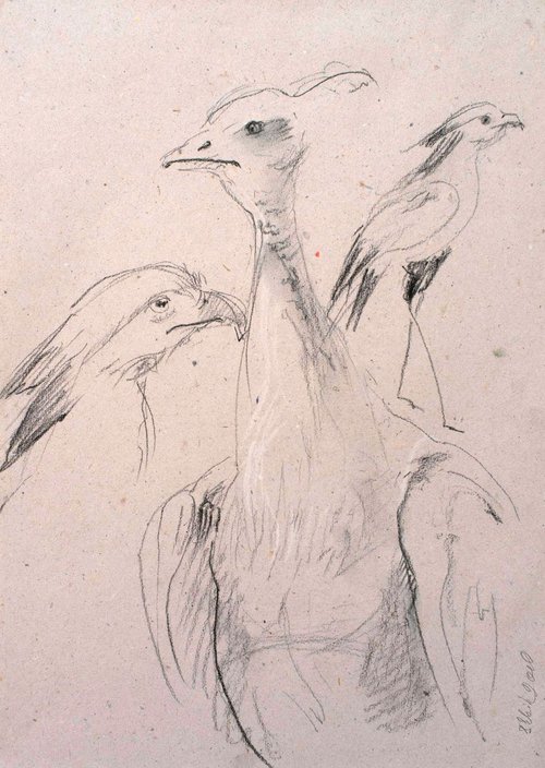 Sketches from the animal world. Birds (#2) by Irina Bibik-Chkolian