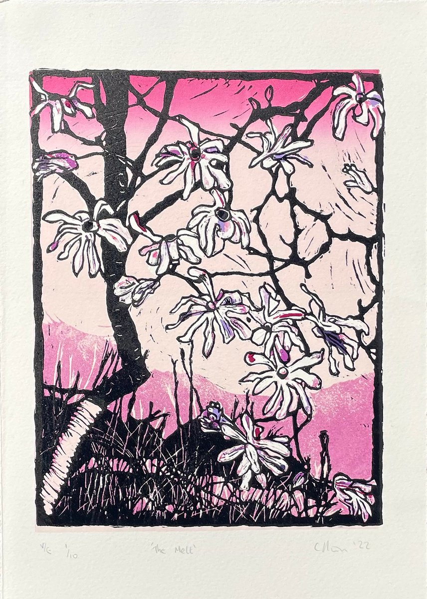 Linocut Print - The Melt 1 of 10 - Magnolia Blossom Linocut Print by C Staunton
