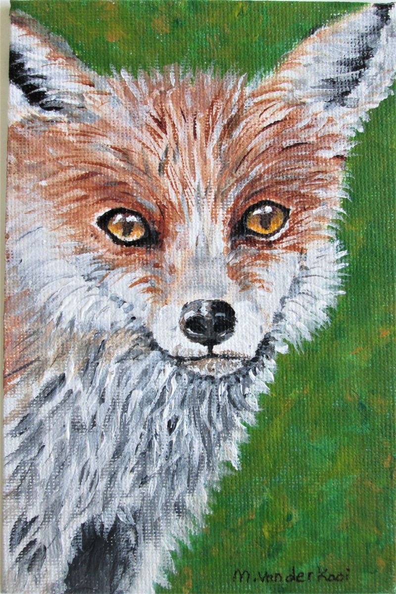 FOXY, red fox, wildlife, acrylic by marjansart by MARJANSART