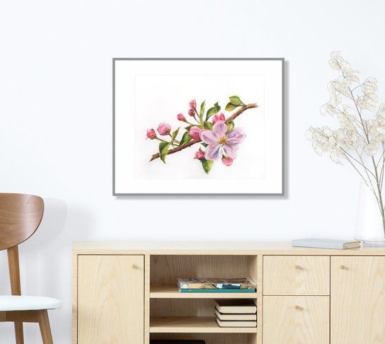 Sakura, cherry blossom, pink flowers watercolor painting