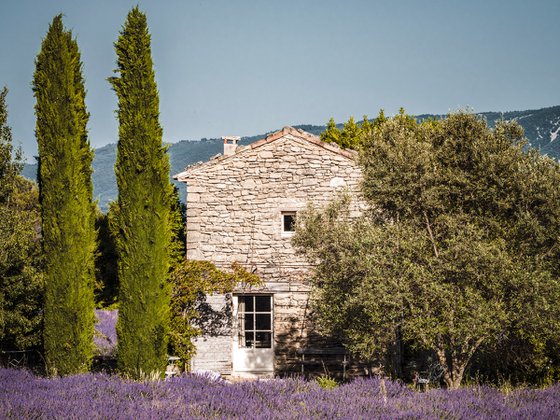 THE BEAUTIFUL HOUSE V