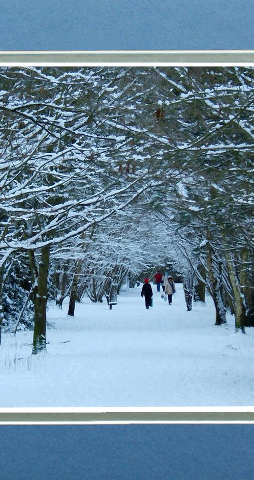 Snow Tree Tunnel by Robin Clarke