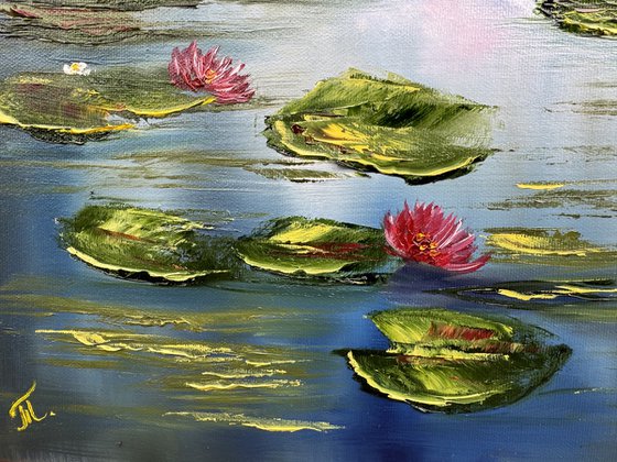 Water Lilies on the Mirror Lake