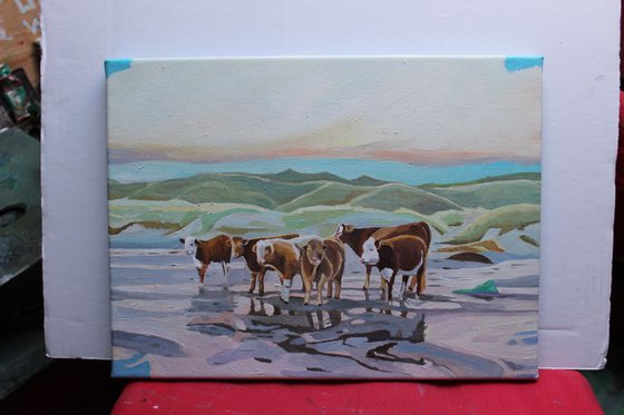 Rosbeg Cows, Ireland