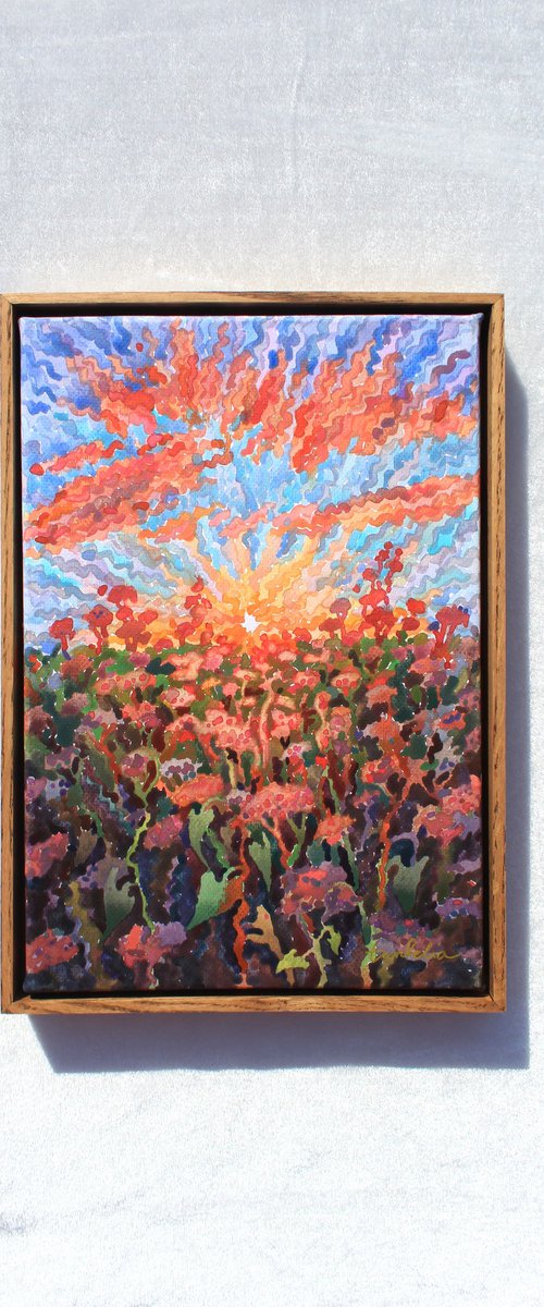 Sunset in the Buckwheat field by Tanbelia